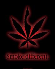 "/tmp/upload/56028151f3b989ab66f6049def1e2c33cfc6ad7d3637235d09dacf5b088386d11/smokedifferent.jpg"
